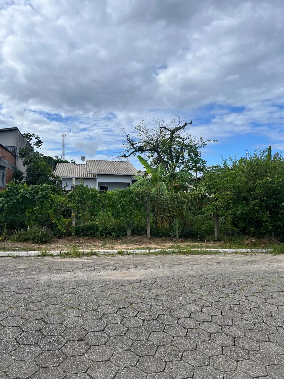 Vista externa de terreno com casa e vegetação exuberante em Santo Antônio, Balneário Piçarras/SC