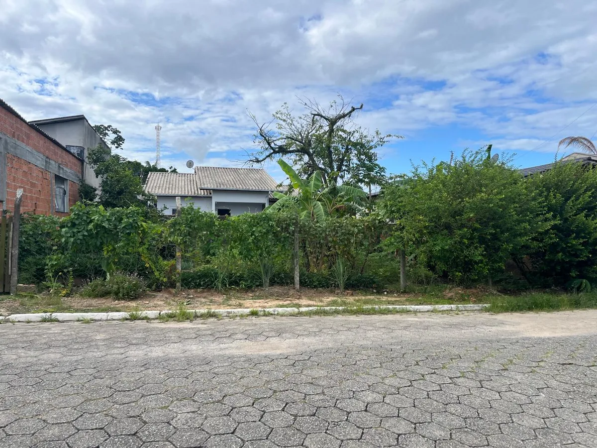 Terreno com vegetação exuberante e cercado - Lote em Balneário Piçarras/SC
