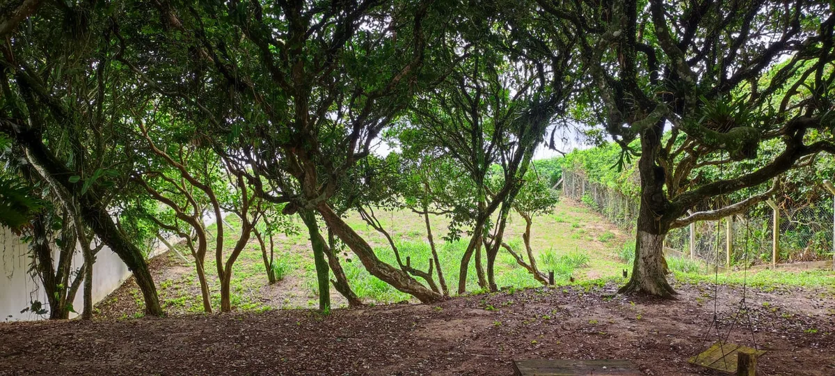 Terreno Frente Mar