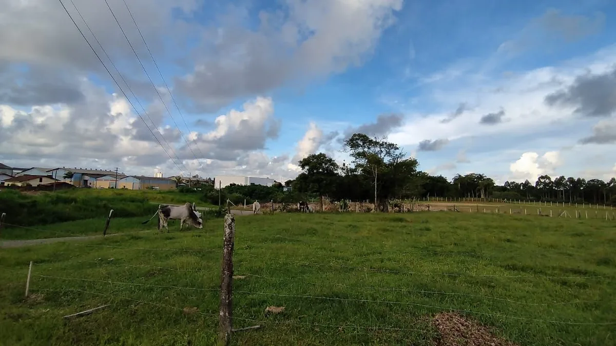 Terreno em Nossa Senhora da Paz, Balneário Piçarras/SC · foto 3 | Família Broker